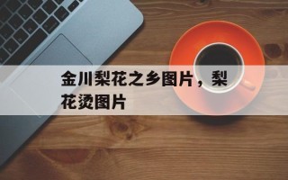 金川梨花之乡图片，梨花烫图片