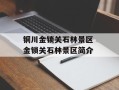 铜川金锁关石林景区 金锁关石林景区简介