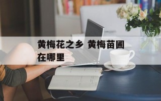 黄梅花之乡 黄梅苗圃在哪里
