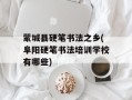 蒙城县硬笔书法之乡(阜阳硬笔书法培训学校有哪些)