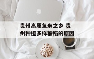 贵州高原鱼米之乡 贵州种植多样糯稻的原因