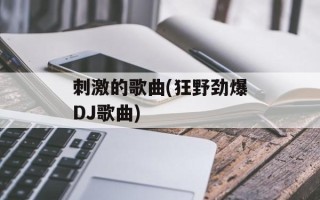 刺激的歌曲(狂野劲爆DJ歌曲)