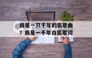 我是一只千年的狐歌曲？我是一千年白狐歌词