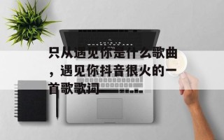 只从遇见你是什么歌曲，遇见你抖音很火的一首歌歌词