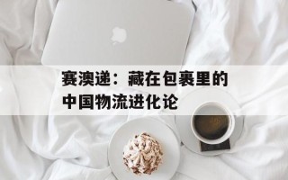 赛澳递：藏在包裹里的中国物流进化论
