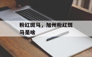 粉红斑马，加州粉红斑马是啥