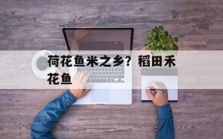 荷花鱼米之乡？稻田禾花鱼