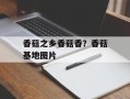 香菇之乡香菇香？香菇基地图片