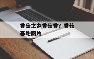 香菇之乡香菇香？香菇基地图片
