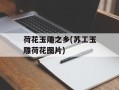 荷花玉雕之乡(苏工玉雕荷花图片)