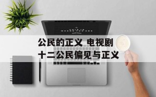 公民的正义 电视剧 十二公民偏见与正义