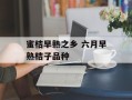 蜜桔早熟之乡 六月早熟桔子品种