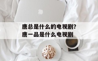 唐总是什么的电视剧？唐一品是什么电视剧
