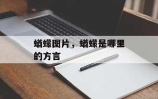 蝤蠓图片，蝤蠓是哪里的方言