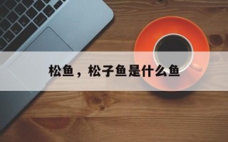 松鱼，松子鱼是什么鱼