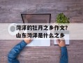 菏泽的牡丹之乡作文？山东菏泽是什么之乡
