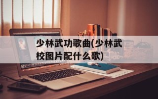 少林武功歌曲(少林武校图片配什么歌)