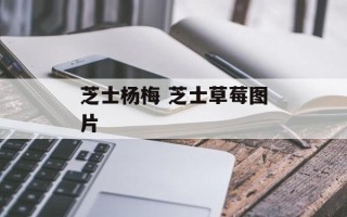 芝士杨梅 芝士草莓图片