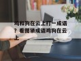 鸡和狗在云上打一成语？看图猜成语鸡狗在云上