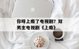 你呀上瘾了电视剧？双男主电视剧《上瘾》