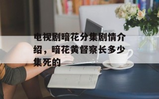 电视剧暗花分集剧情介绍，暗花黄督察长多少集死的