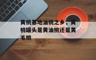 黄桃基地油桃之乡，黄桃罐头是黄油桃还是黄毛桃