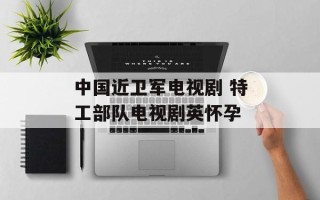 中国近卫军电视剧 特工部队电视剧英怀孕