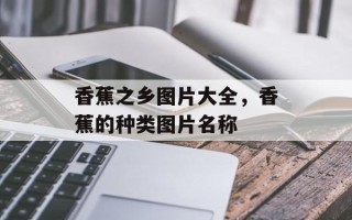 香蕉之乡图片大全，香蕉的种类图片名称