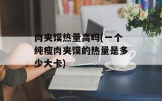 肉夹馍热量高吗(一个纯瘦肉夹馍的热量是多少大卡)