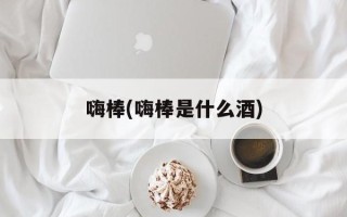 嗨棒(嗨棒是什么酒)