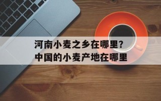 河南小麦之乡在哪里？中国的小麦产地在哪里