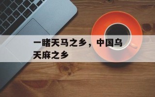 一睹天马之乡，中国乌天麻之乡
