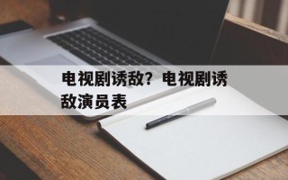 电视剧诱敌？电视剧诱敌演员表