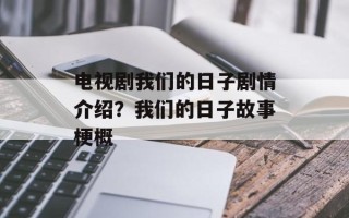 电视剧我们的日子剧情介绍？我们的日子故事梗概