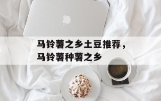 马铃薯之乡土豆推荐，马铃薯种薯之乡