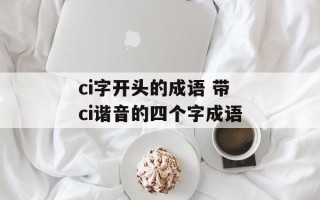 ci字开头的成语 带ci谐音的四个字成语