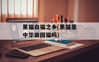 黑猫白猫之乡(黑猫是中华田园猫吗)