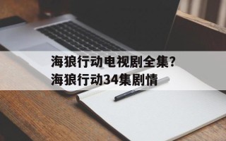 海狼行动电视剧全集？海狼行动34集剧情