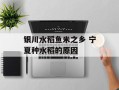 银川水稻鱼米之乡 宁夏种水稻的原因
