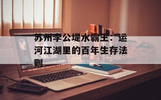 苏州李公堤水霸王：运河江湖里的百年生存法则