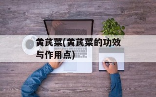 黄芪菜(黄芪菜的功效与作用点)