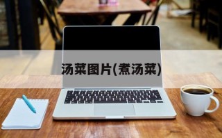 汤菜图片(煮汤菜)