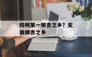 阳朔第一银杏之乡？安徽银杏之乡