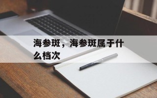 海参斑，海参斑属于什么档次