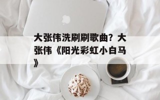 大张伟洗刷刷歌曲？大张伟《阳光彩虹小白马》