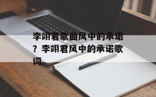 李翊君歌曲风中的承诺？李翊君风中的承诺歌词