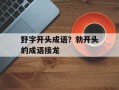 野字开头成语？勃开头的成语接龙