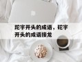 跎字开头的成语，砣字开头的成语接龙