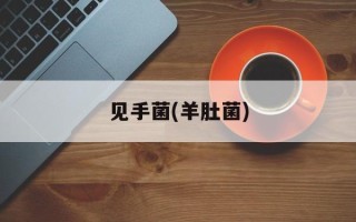 见手菌(羊肚菌)