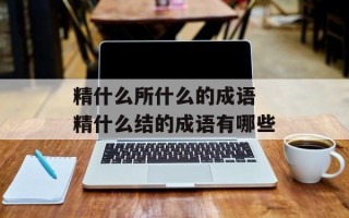 精什么所什么的成语 精什么结的成语有哪些